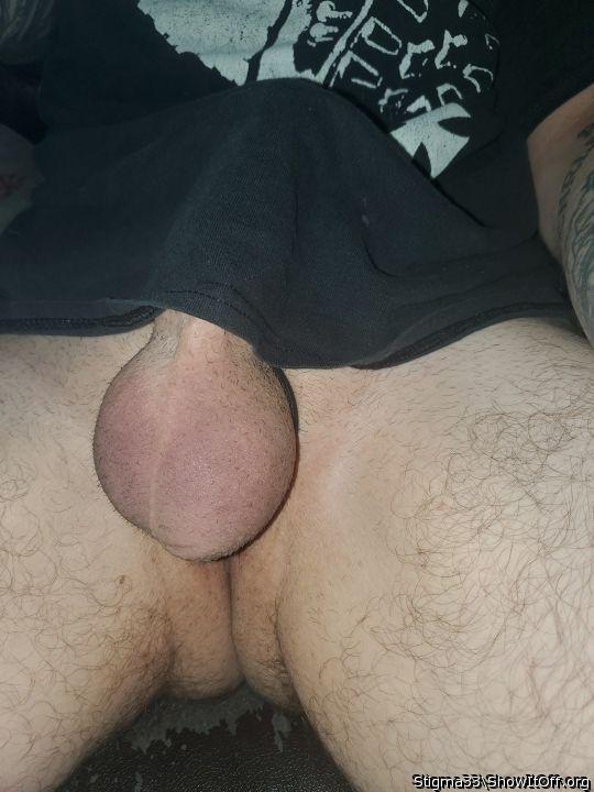 Photo of a weasel from Stigma33