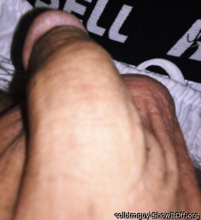 Photo of a weasel from colbtmguy