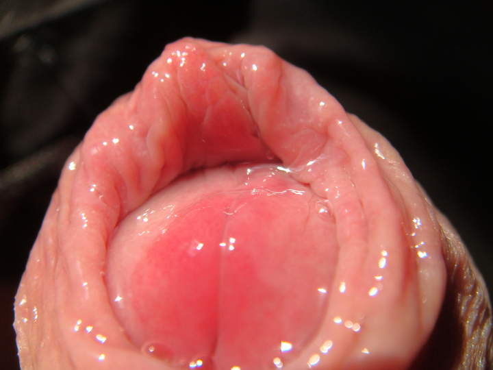 Photo of a python from sivad666