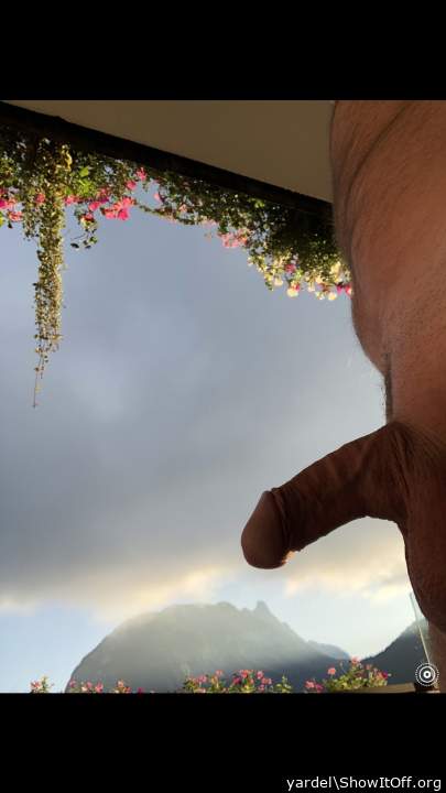 Photo of a dong from yardel