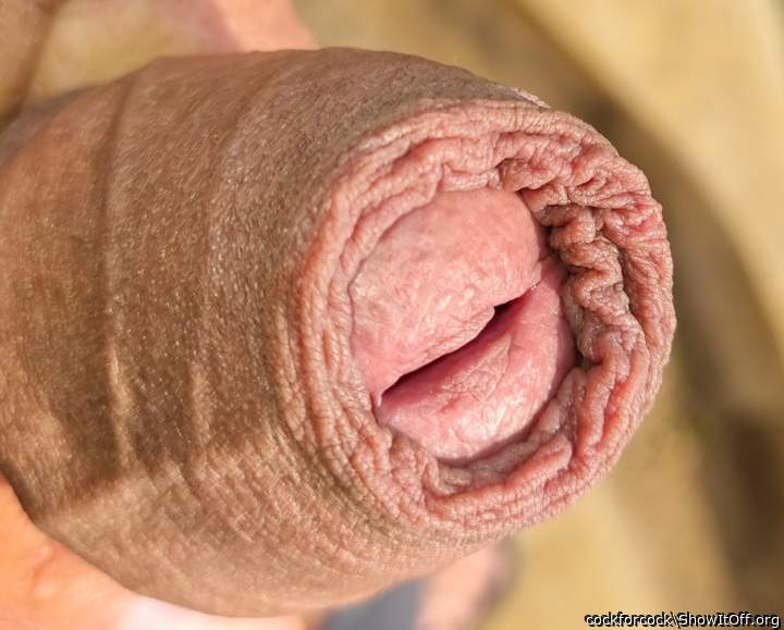 Foreskin close-up
