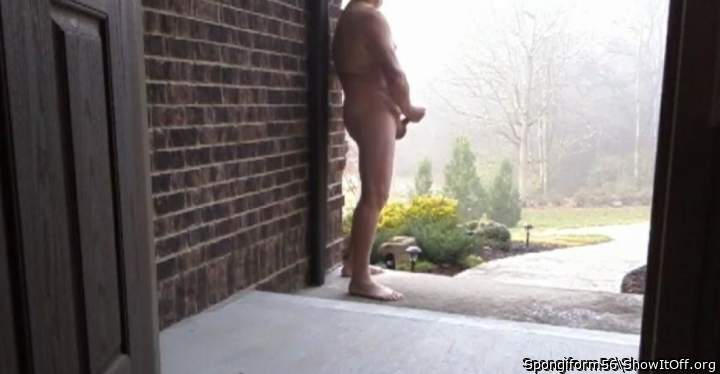 Photo of a thing from Spongiform56