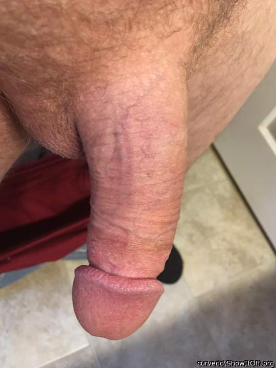 Photo of a bat from Curvedc