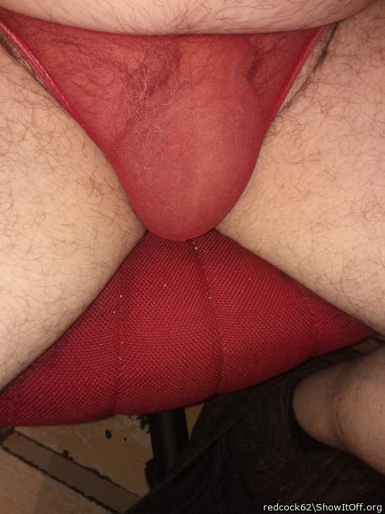Photo of a rooster from redcock62