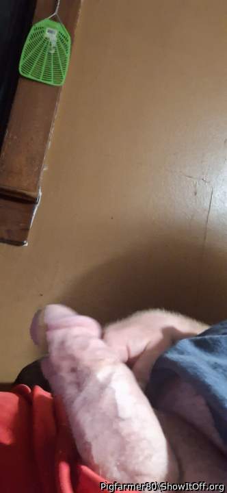 Photo of a boner from Pigfarmer80