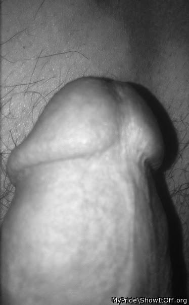 Photo of a bald-headed mouse from Mypride