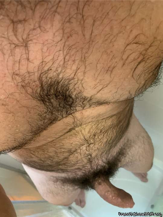  sei un cazzone 