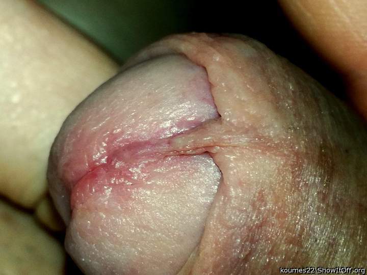 uncut cock close up