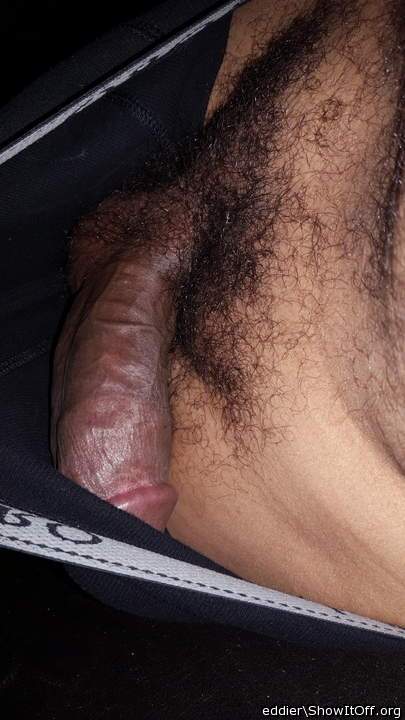 Photo of a stiffie from eddier