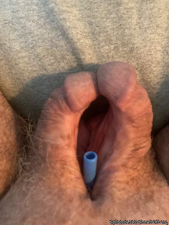 Photo of a bat from Splitdude192