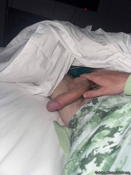 Photo of a horn from dakota
