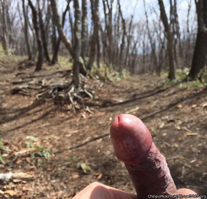 tasty mushroom