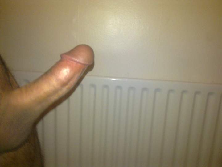 Photo of a weasel from Sexbomb