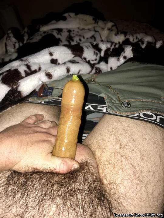 Photo of a middle leg from Boerseun