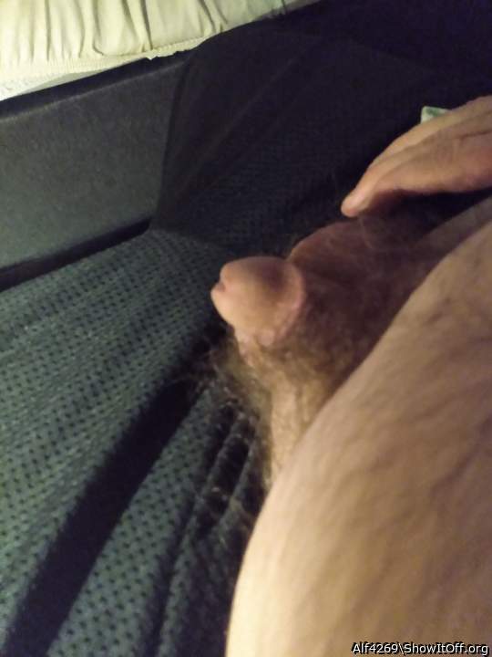 Photo of a thing from Alf4269