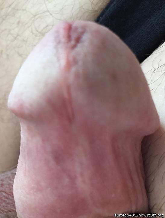 Photo of a wiener from eurotop40