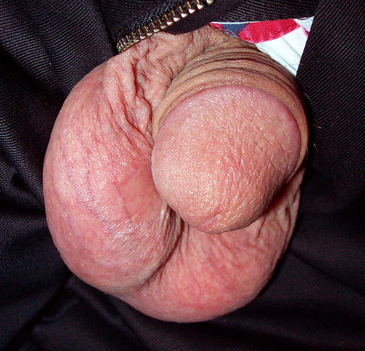 Photo of a equipment from lilsoftee