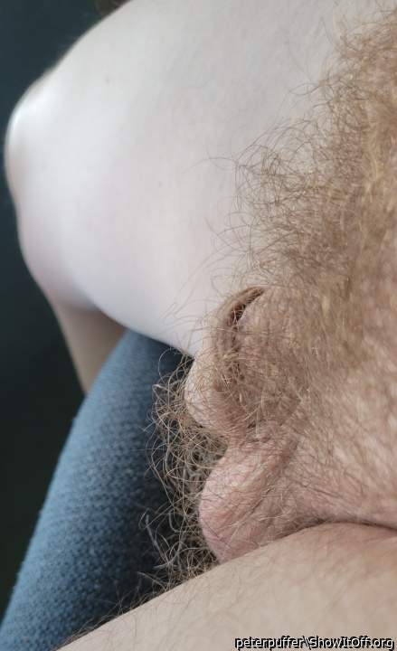 I want to feel your Bush on my face 
