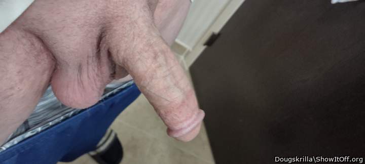 Photo of a horn from Dougskrilla