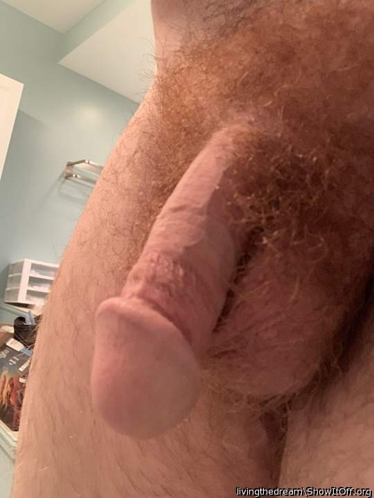 Photo of a wiener from LivingTheDream