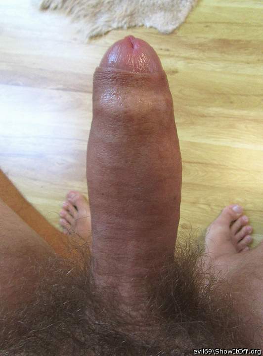 thick cock, nice bush 