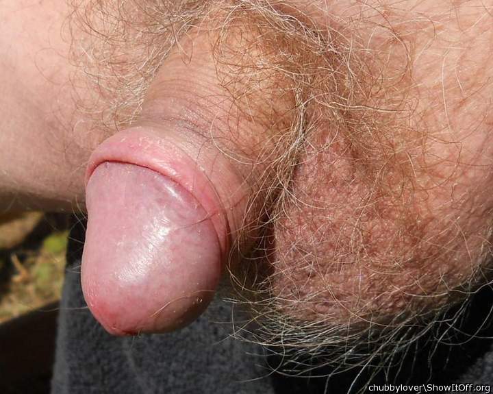 my small dick