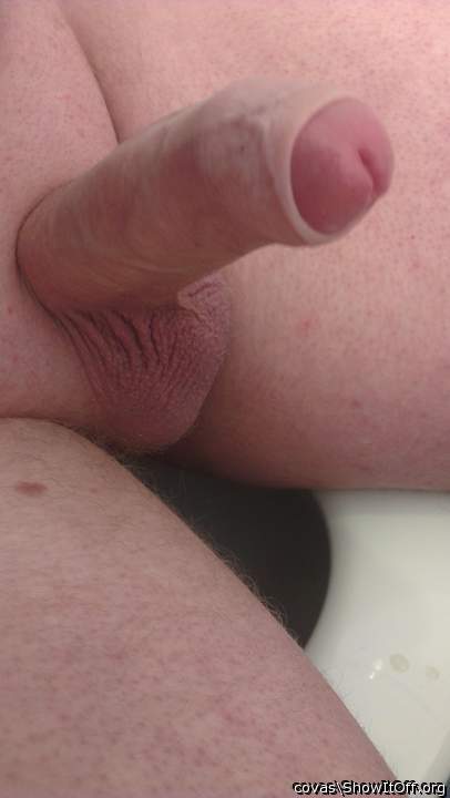 Photo of a wiener from covas