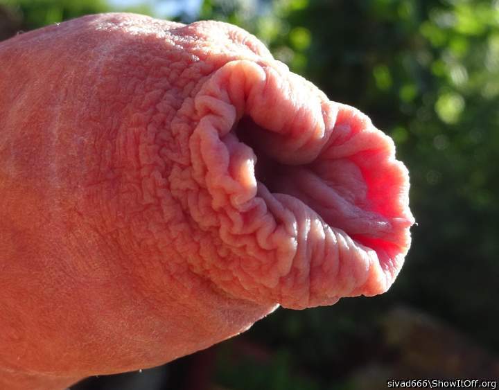 I love giving a circumcised guy the full "foreskin show". I 