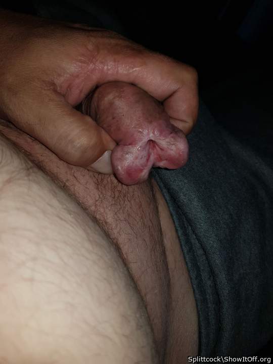 Photo of a purple headed monster from Splittcock