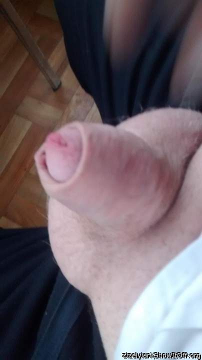 Photo of a wiener from zizelyian