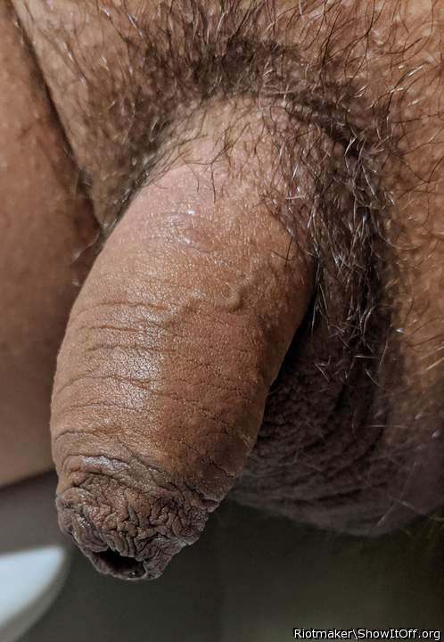 Photo of a short leg from SPUNnONONE