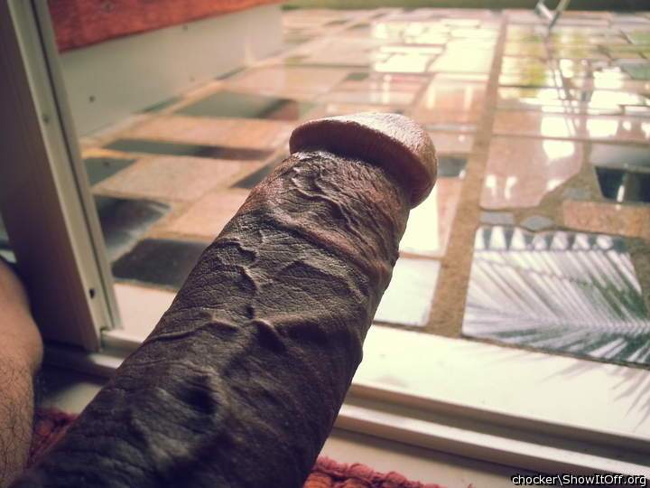  really lovely tail ... nice perspective   " vote !!