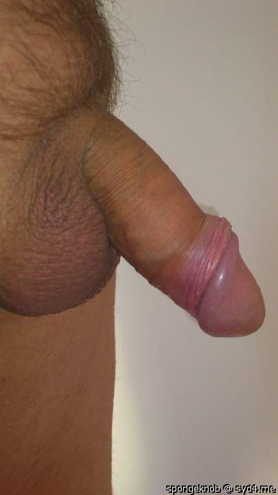 Photo of a dick from spongeknob