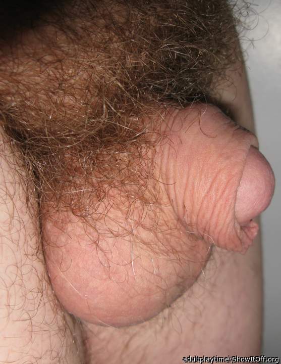 Photo of a weasel from adultplaytime