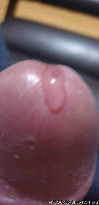 Photo of a bald-headed mouse from MYCOCK66