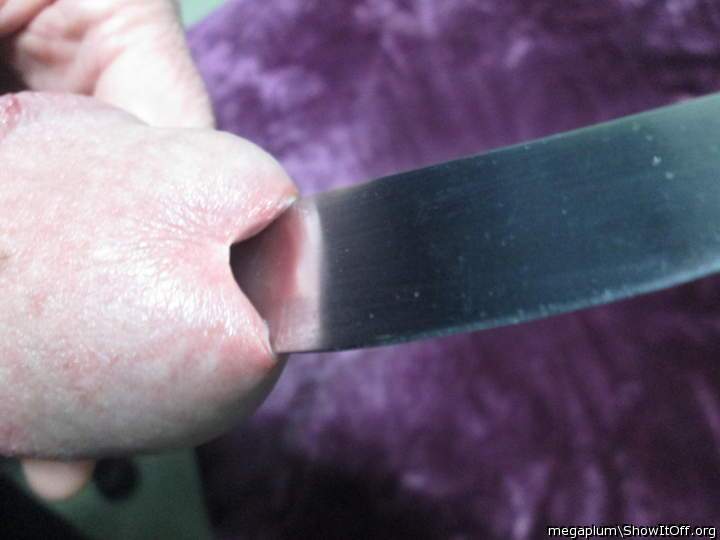 Photo of a ram rod from megaplum