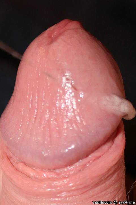 Photo of a phallus from Vanillacum