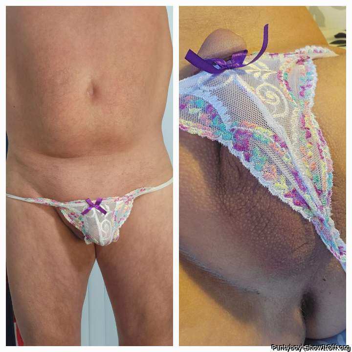 Photo of a cavalier from Pantyboy