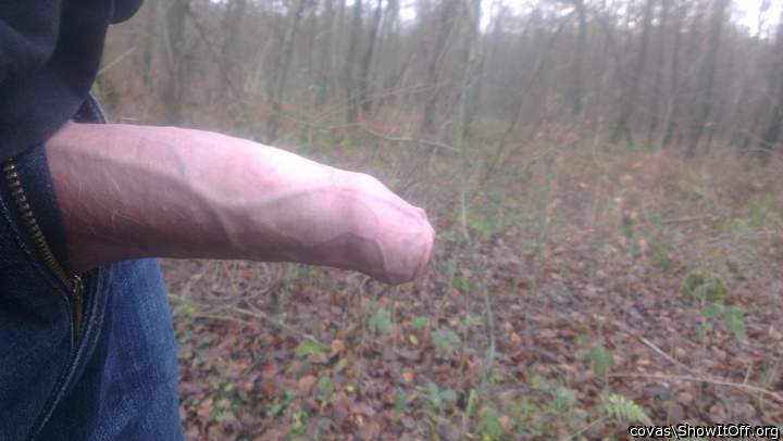 Photo of a stiffie from covas