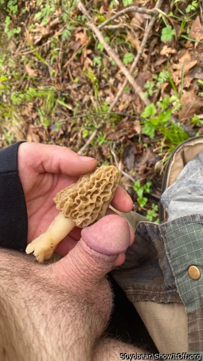 A true mushroom dick. Haha