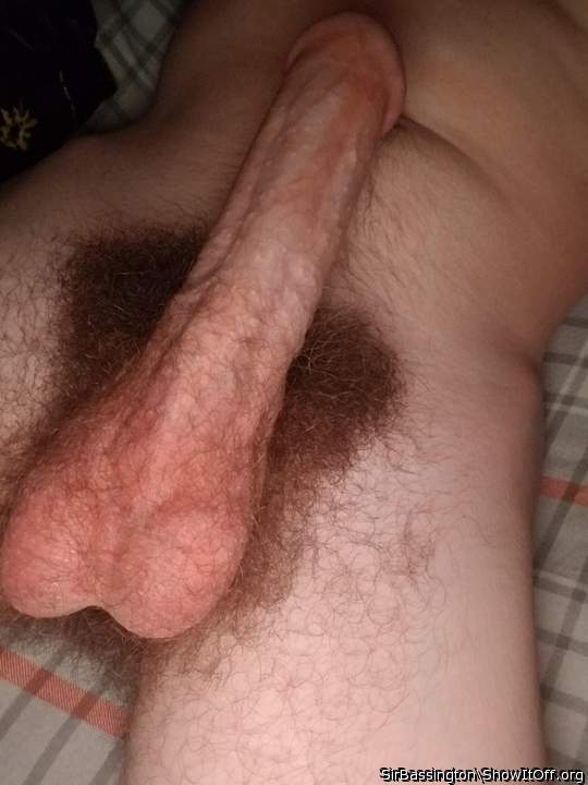 Classic morning wood