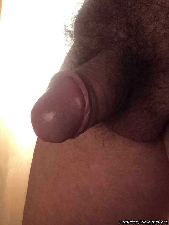 Photo of a weasel from Cockster