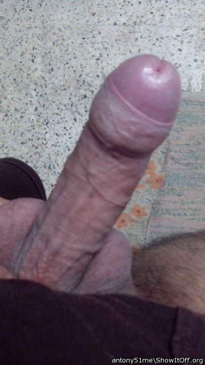 Photo of a dong from antony51me