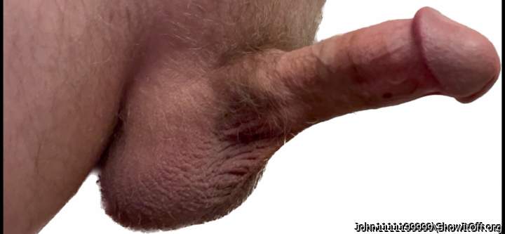 Photo of a lizard from John1111199999