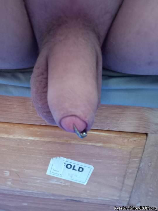 Photo of a cock from KyleSA