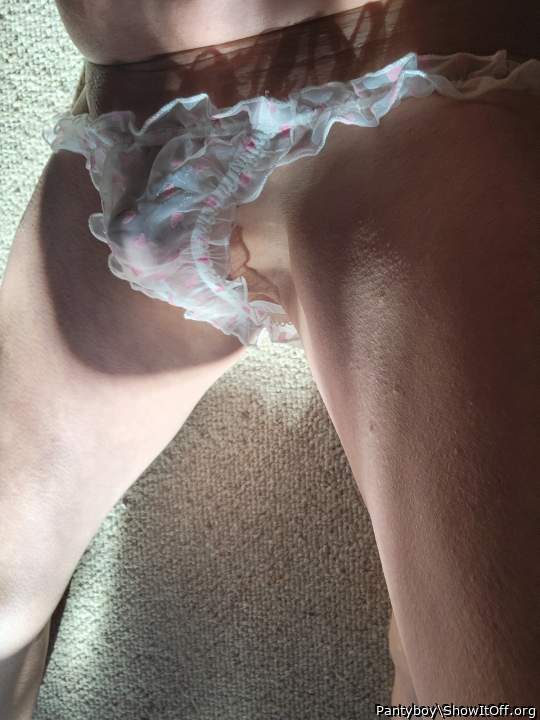 Photo of a pecker from Pantyboy