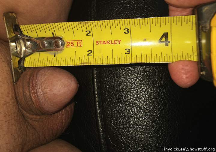 Lee Przybylowicz measures his micropenis