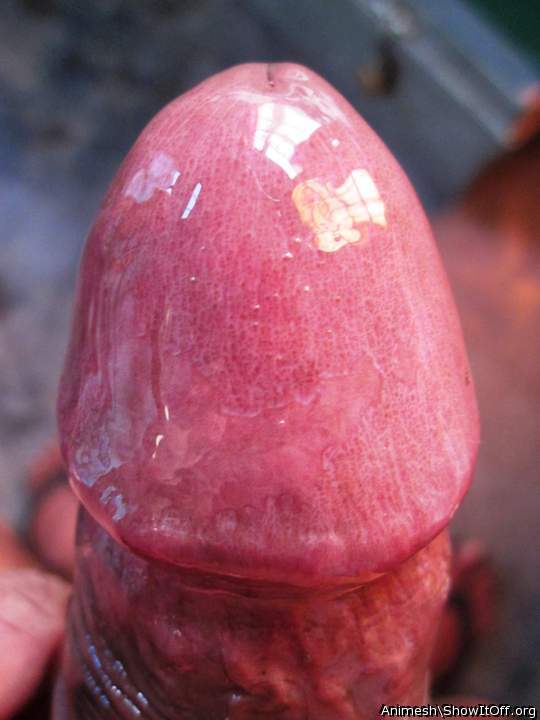Photo of a penis from Animesh