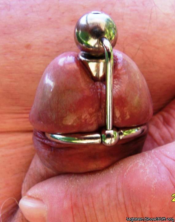 Penis with prince scepter