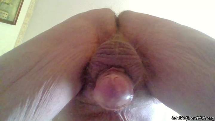 Photo of a rooster from Ade59